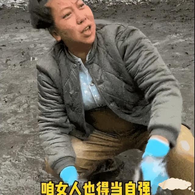 东北雨姐粉条厂家遭巨额处罚，质量与信誉的双重考验揭秘