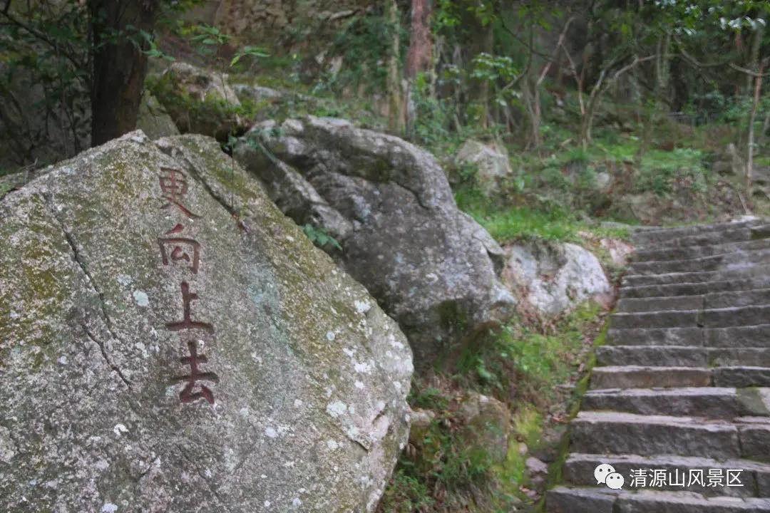 福建泉州发生严重伤害案件，2死2伤事件背后的反思