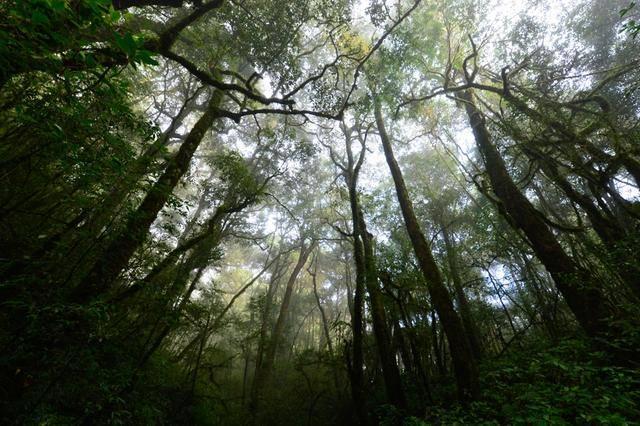 哀牢山未来半月徒步团，科技赋能，探索无界，名额已满！