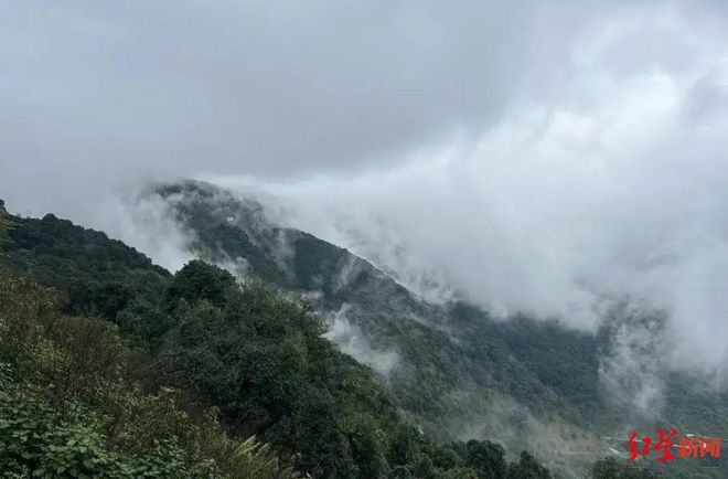 哀牢山未来半月徒步团，科技赋能，探索无界，名额已满！