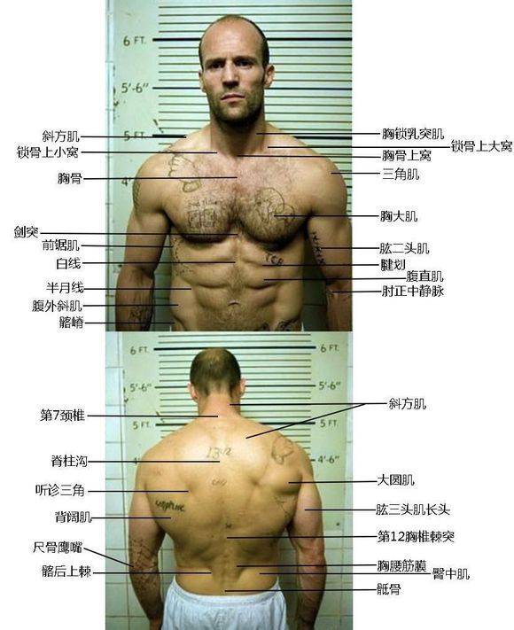 杰森斯坦森最新电影,杰森·斯坦森最新电影，友情之光，温馨的日常冒险