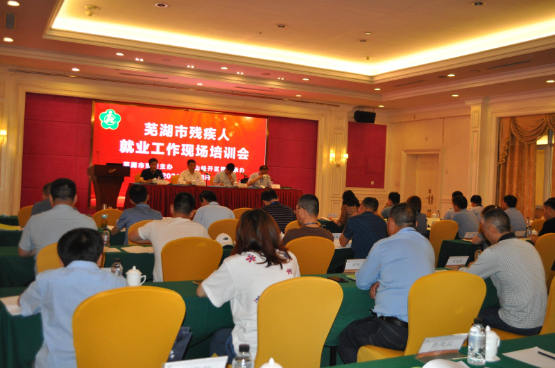 鲁能泰山最新动态，技能提升与任务完成指南