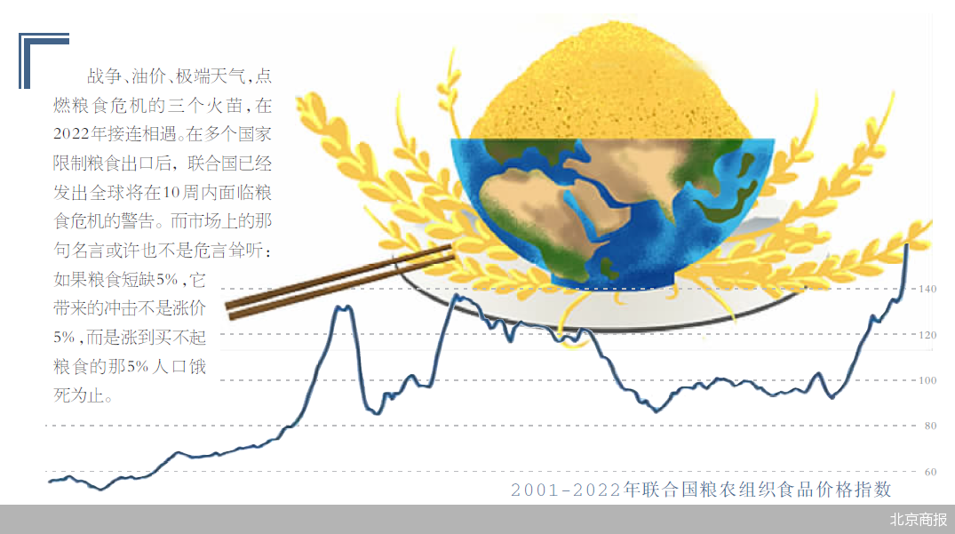 粮食危机最新状况深度分析，全球粮食危机现状与未来趋势