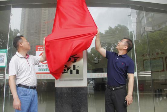 最新市辖区，城市发展的蓬勃新动力