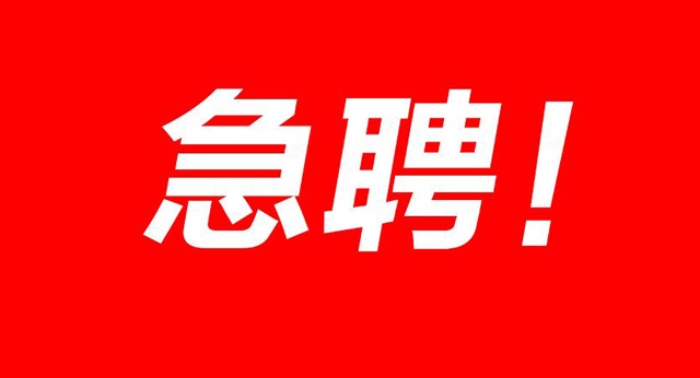 霍山论坛最新招聘信息全面概览