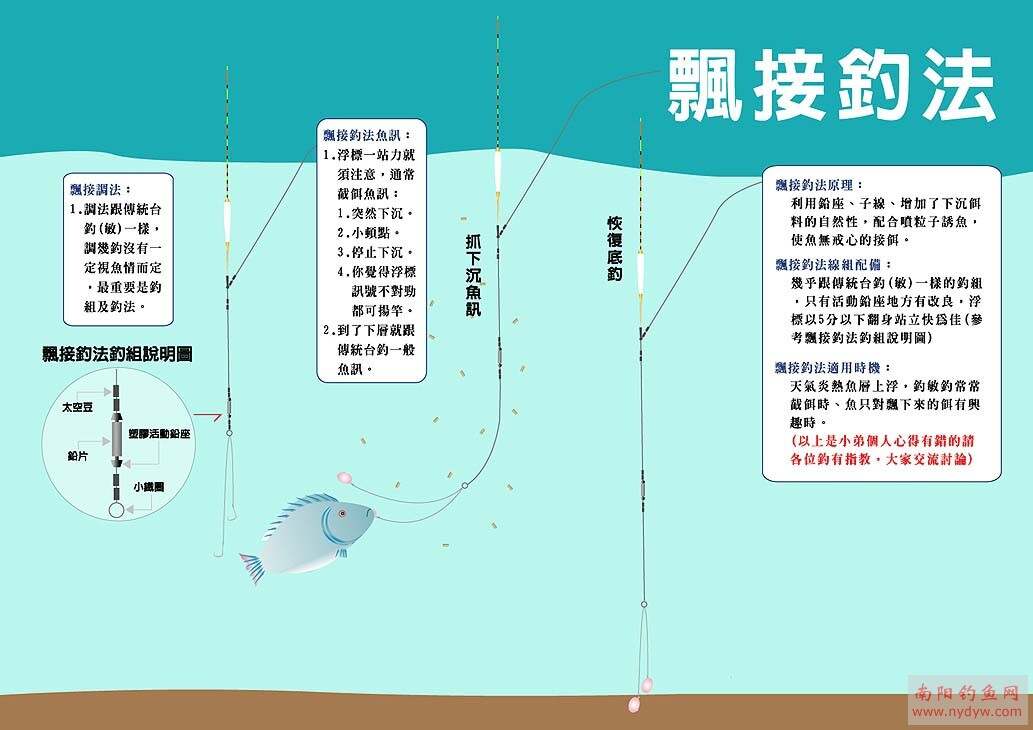 最新钓鱼方法与技巧，高效钓鱼艺术探索