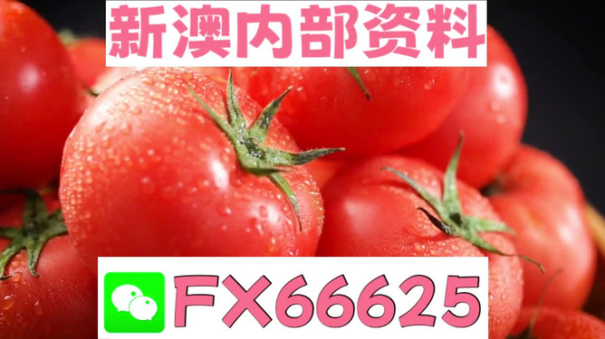 新澳今天最新资料水果爷爷,快速问题设计方案_Pixel96.58.97