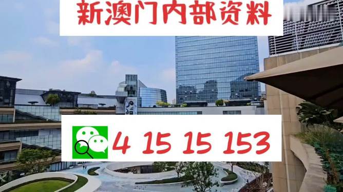 新澳门特免费大全,实地评估解析数据_尊贵款94.29.51