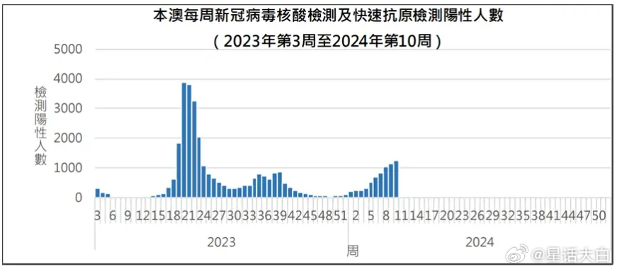 高效计划实施解析：新澳门历史记录查询最近十期_V82.83.35