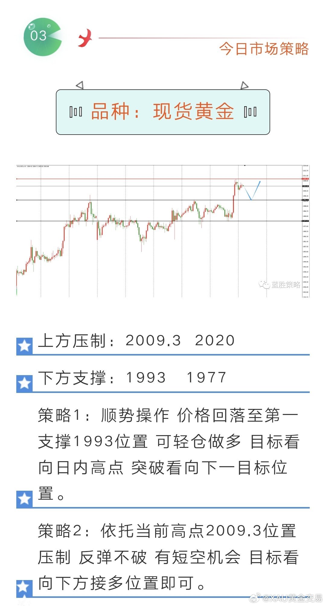 黄金策略最新实践计划推进方案_eShop版本更新