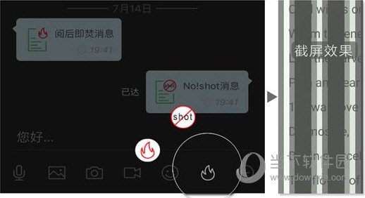 管家婆一码中一肖，绝对经典解释落实_iPad4.10.56