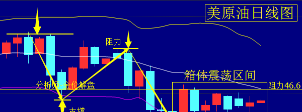 不屈不挠 第10页