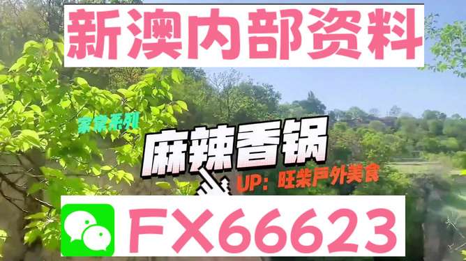 新澳精准资料免费提供510期_美国首都华盛顿超隆重迎接熊猫抵达,快速设计问题计划_Kindle76.40.81