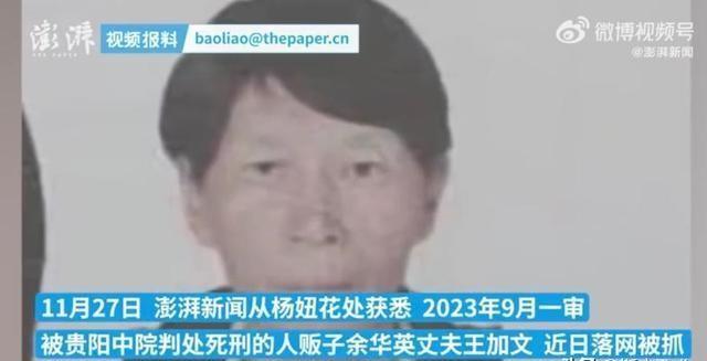 澳门开奖结果2024开奖记录今晚_杨妞花直播再回忆被拐细节,创新设计计划_交互版99.93.58