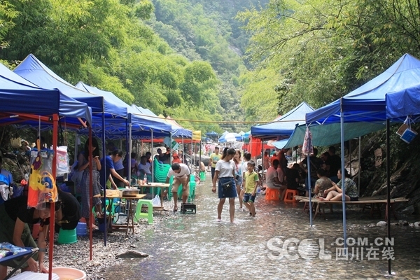 景区回应游客关于国道收费拦断事件，引发深思与讨论