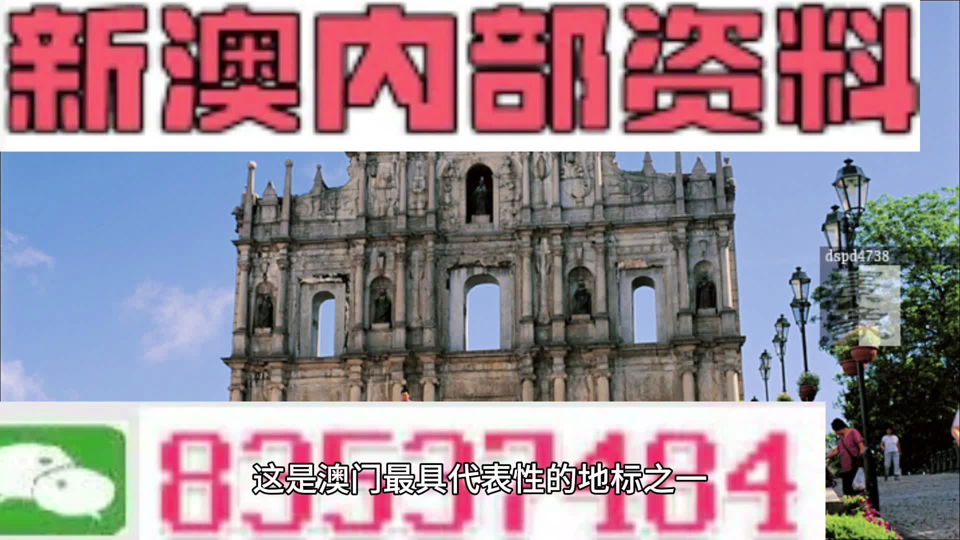 2024新澳精准资料_巴菲特表态美国大选,数据解答解释定义_网页款75.34.27