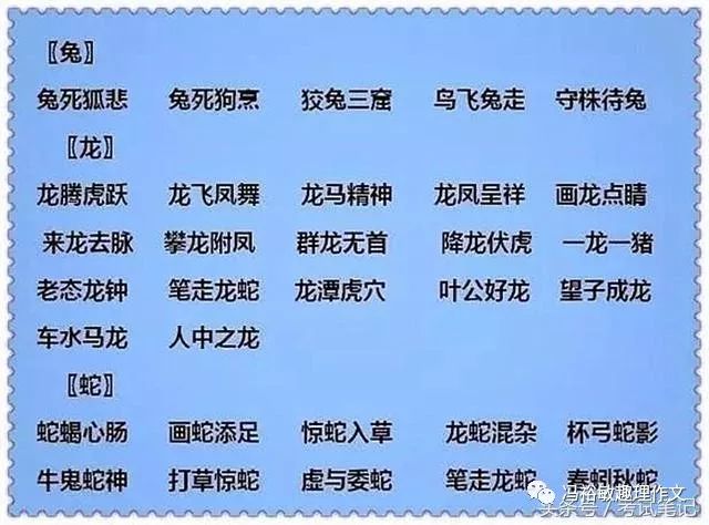 2024新澳免费资料成语平特_学生被醉酒班主任打骨折？官方通报,实践数据解释定义_3DM19.10.74