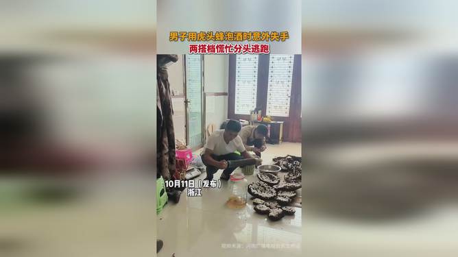 虎头蜂泡酒引发惊险瞬间，两男子意外遭遇冒险之旅