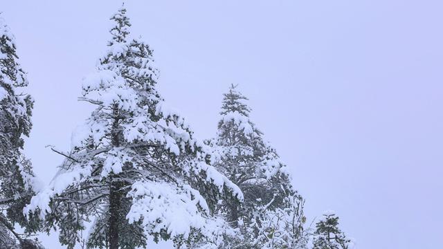 成都秋雪初降，美丽邂逅小巷特色小店