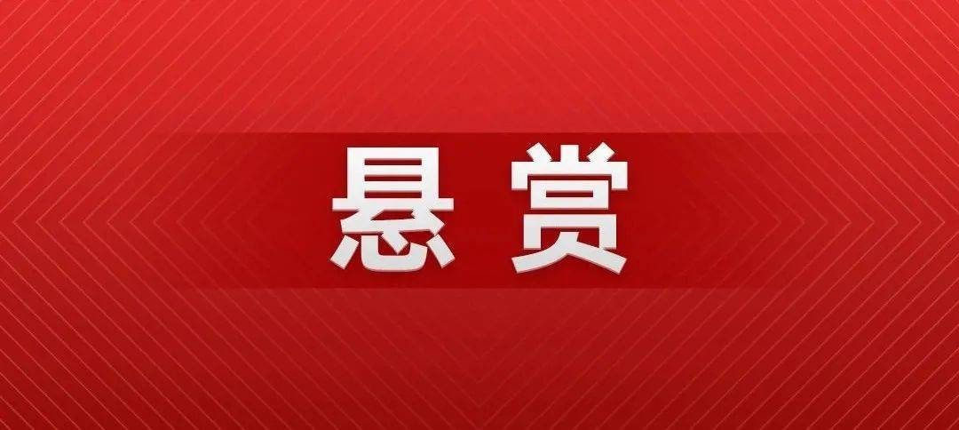 2024年澳门管家婆三肖100%,接待解答解释落实_竞技版14.321