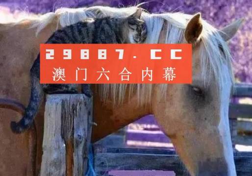 2024澳门资料免费大全,灵巧解答解释落实_按需款51.966