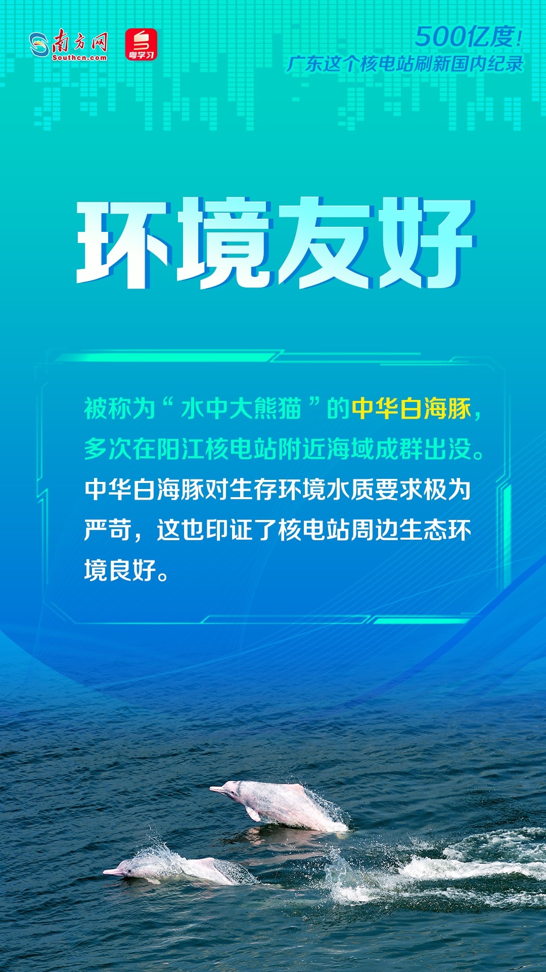 澳彩资料免费资料大全,广泛讨论落实方案_静态款60.191