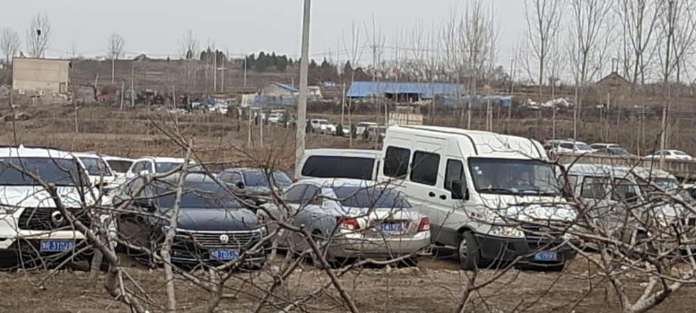 网红云南阿奎离世，温暖日常成永恒，人生旅程令人怀念