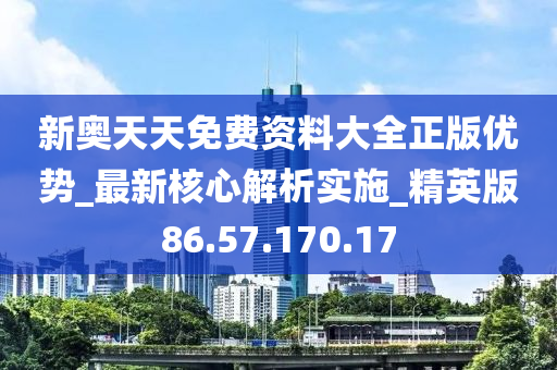 新奥正版全年免费资料，效率资料解释落实_GM版81.78.15