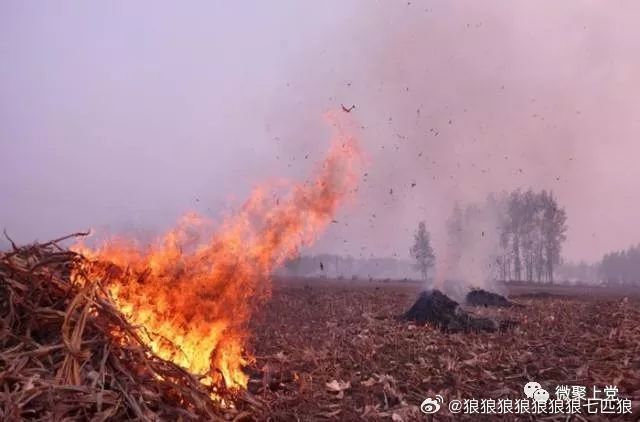 农村秸秆限时焚烧，探索中的利弊分析与对策建议