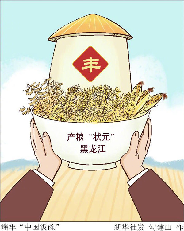 端牢中国饭碗的底气与自信