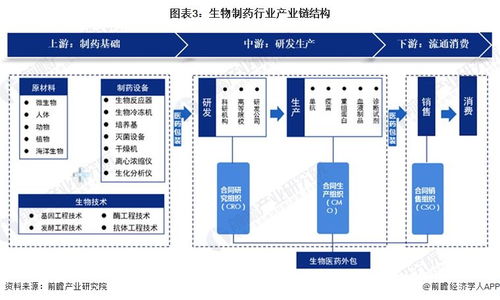 韩美日宣布成立机制监督对朝制裁，国际合作的制裁行动及其观点阐述