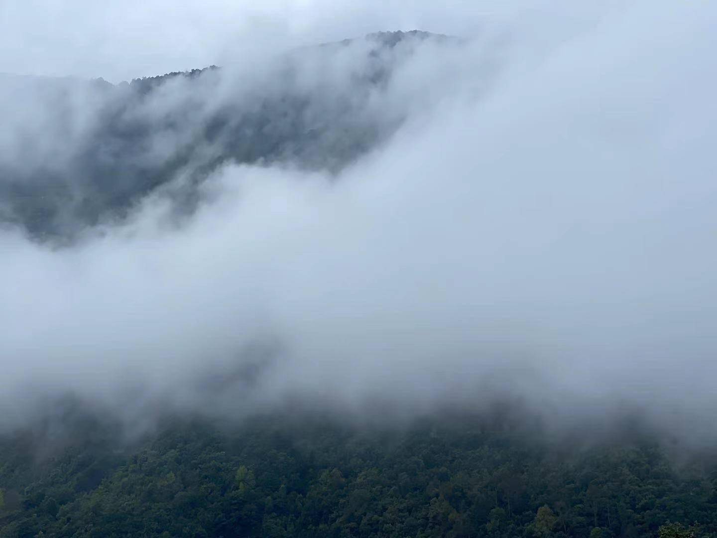 部队穿越哀牢山的神秘之旅，自然美景与内心宁静的探寻