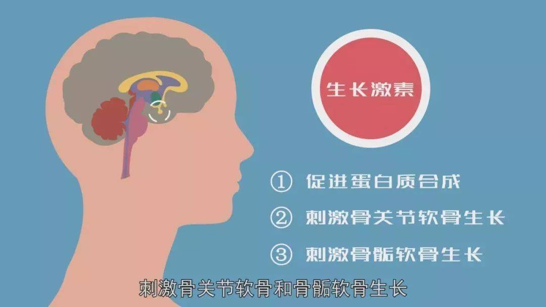 韩国生长激素市场暴涨背后的故事与洞察