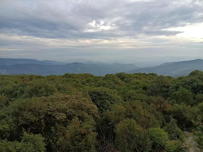 龙飞凤舞 第6页