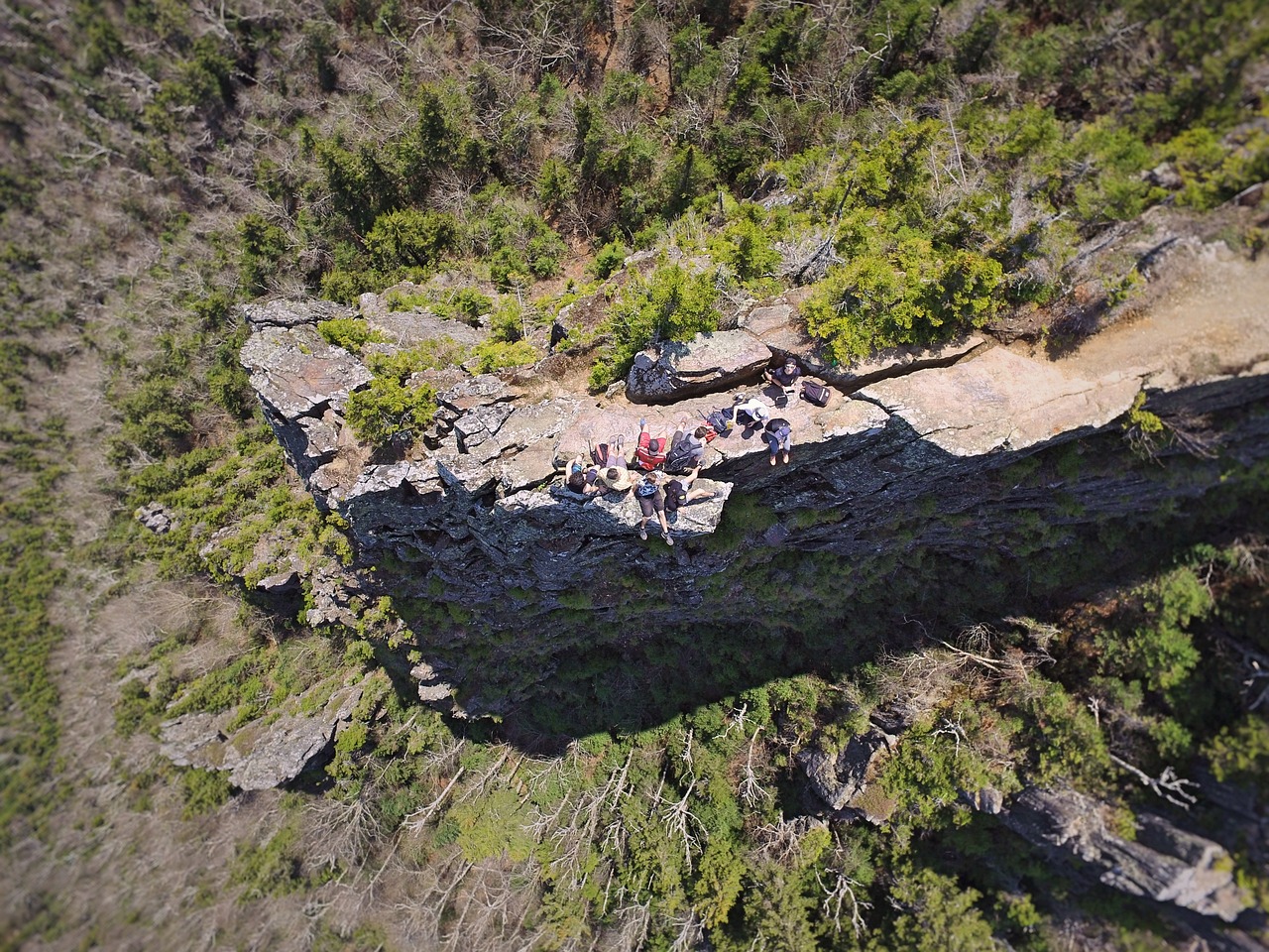 哀牢山神秘鸟鸣与科考之旅，鸟叫声如人类般婉转交流