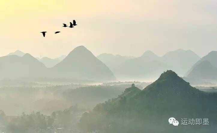 重阳节传统与现代价值的深度探讨，秋意浓情九九重阳