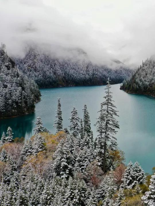 成都秋雪初降，体验与欣赏指南