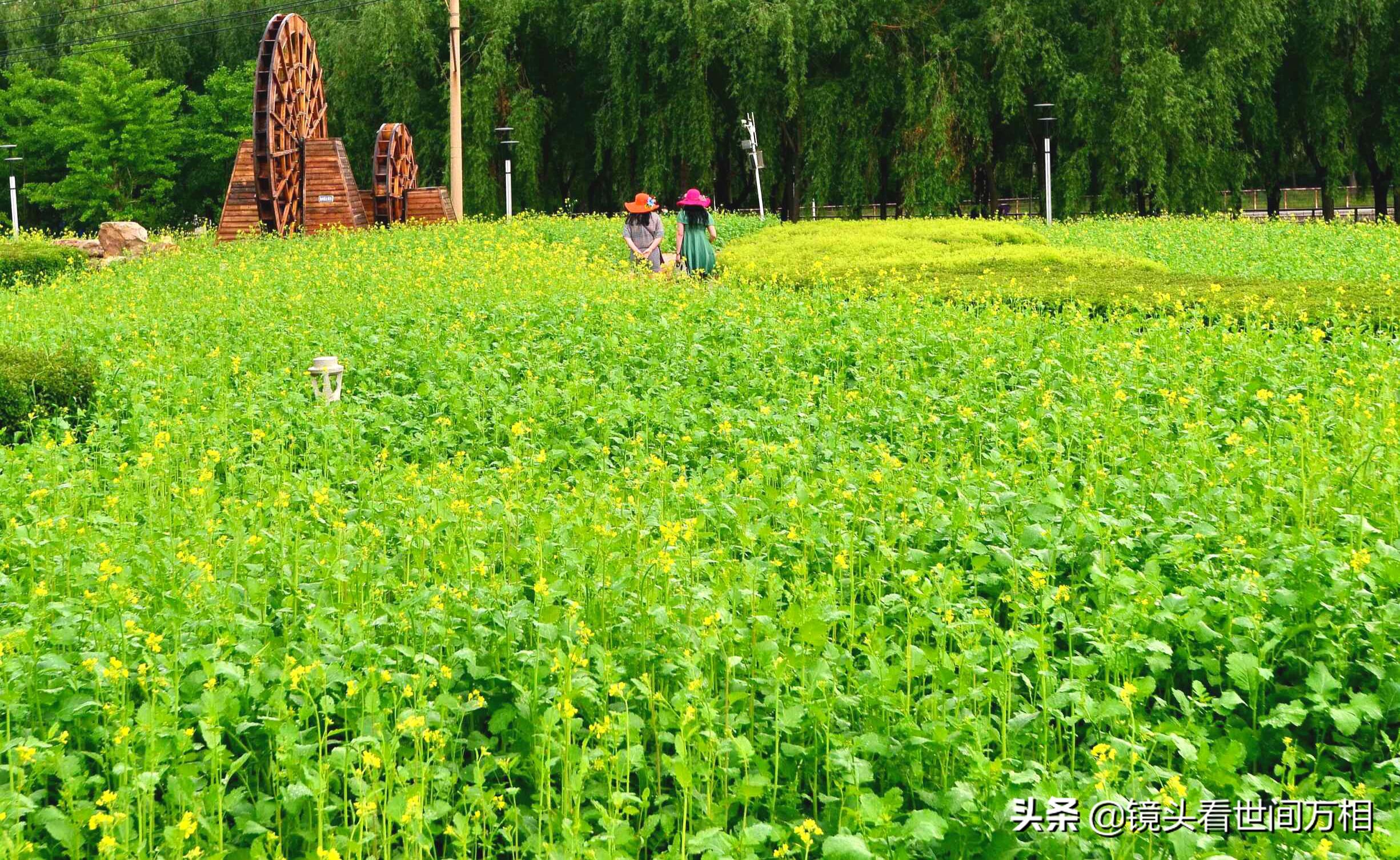 万相之王笔趣阁最新章节，探索自然美景的旅行，寻求内心平静之旅