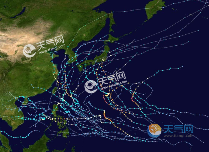 最新台风动态更新，实时掌握台风情况