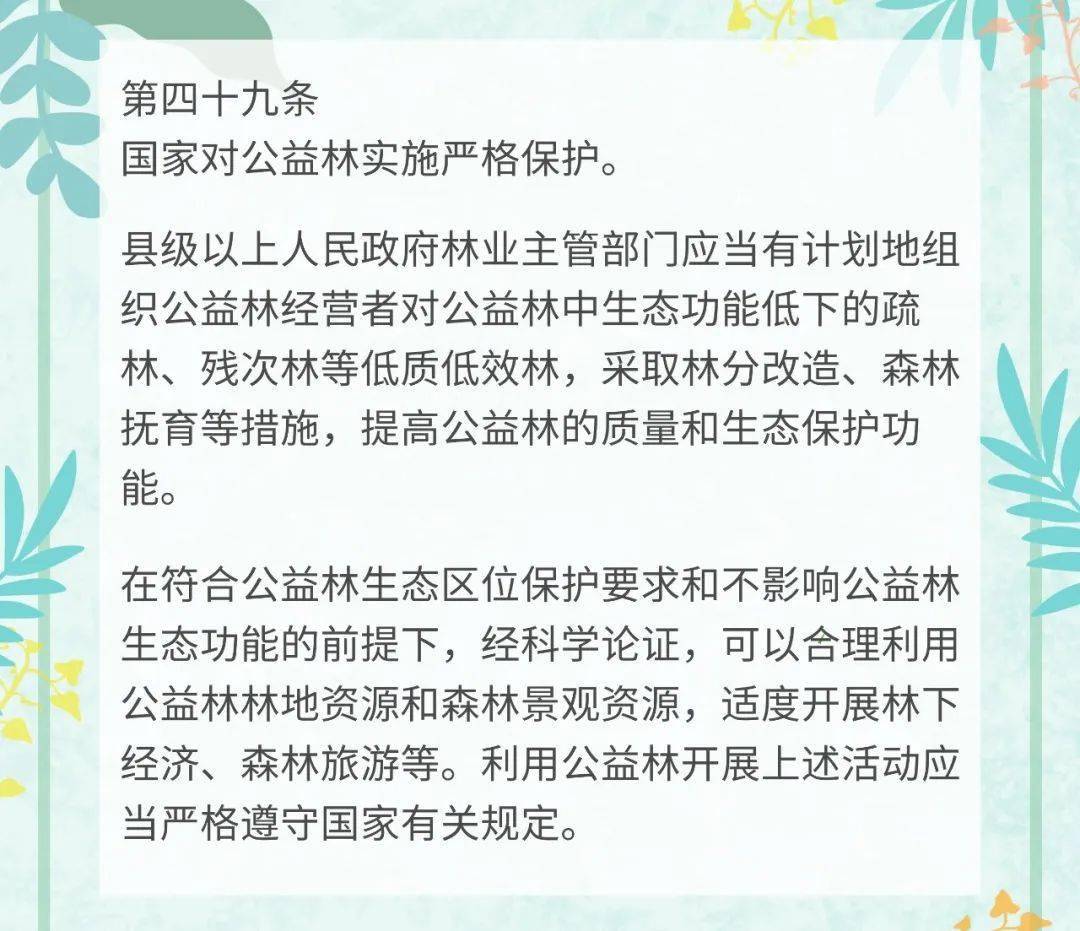 宁北苏清荷励志成长之路，最新免费阅读章节与成就感的源泉