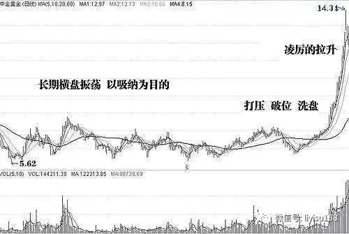 林园最新持股明细揭秘，股市日常故事中的小秘密探索