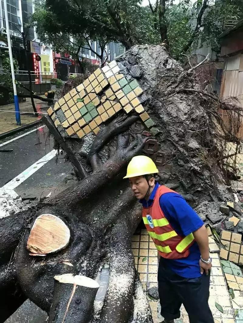 深圳最新台风动态更新