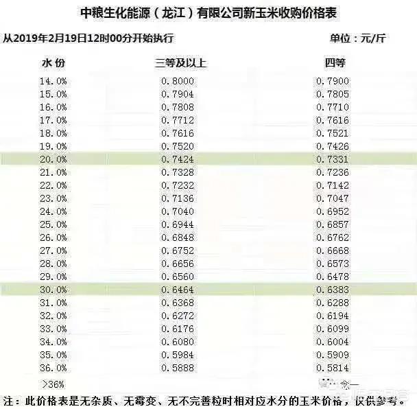 今日玉米价格动态及一粒种子的成长力量揭秘