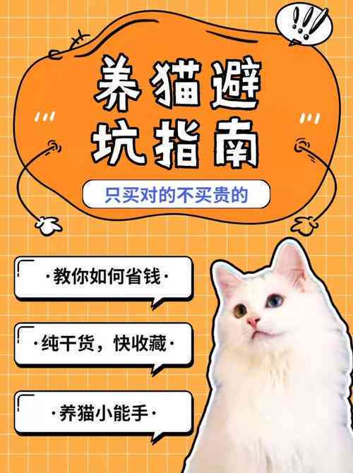 猫咪最新破解版，盈利行业的深度探讨