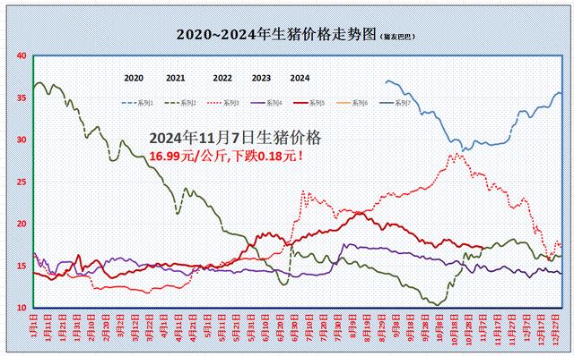 最新猪价行情分析与趋势预测