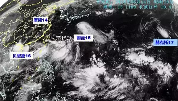 十六号台风实时更新，最新动态与预报信息