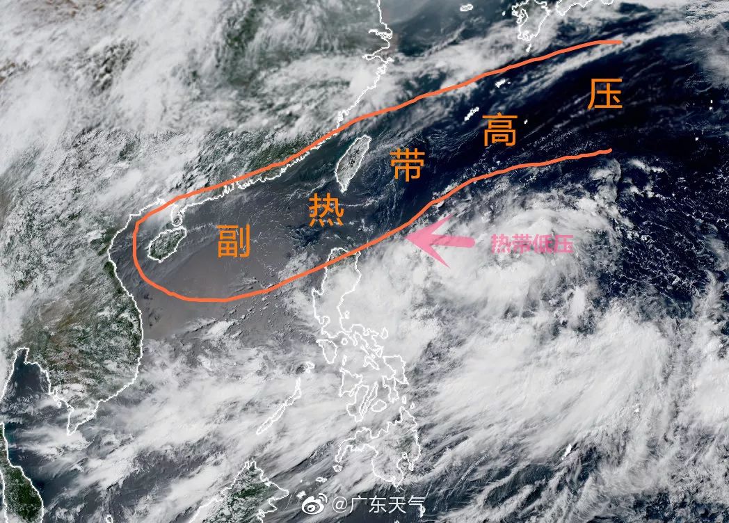 风雨中的励志故事