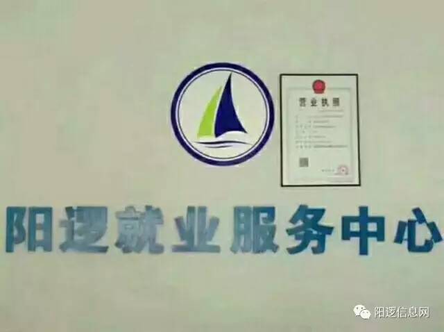 阳逻在线，最新招聘信息汇聚，阳光下的求职奇遇与温暖故事