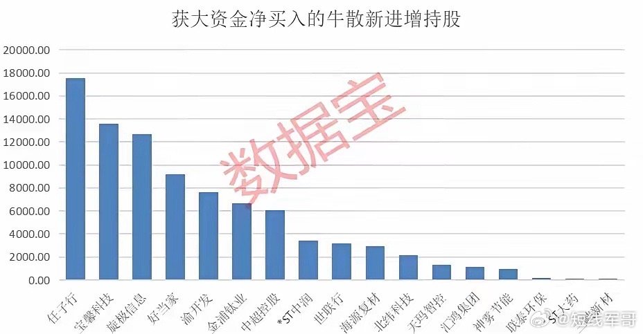 牛散最新持股揭秘，投资风向与策略洞察