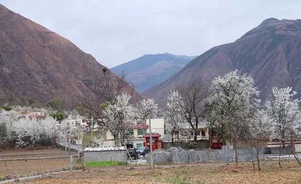 雪梨直播，探寻自然美景之旅，寻觅内心桃花源